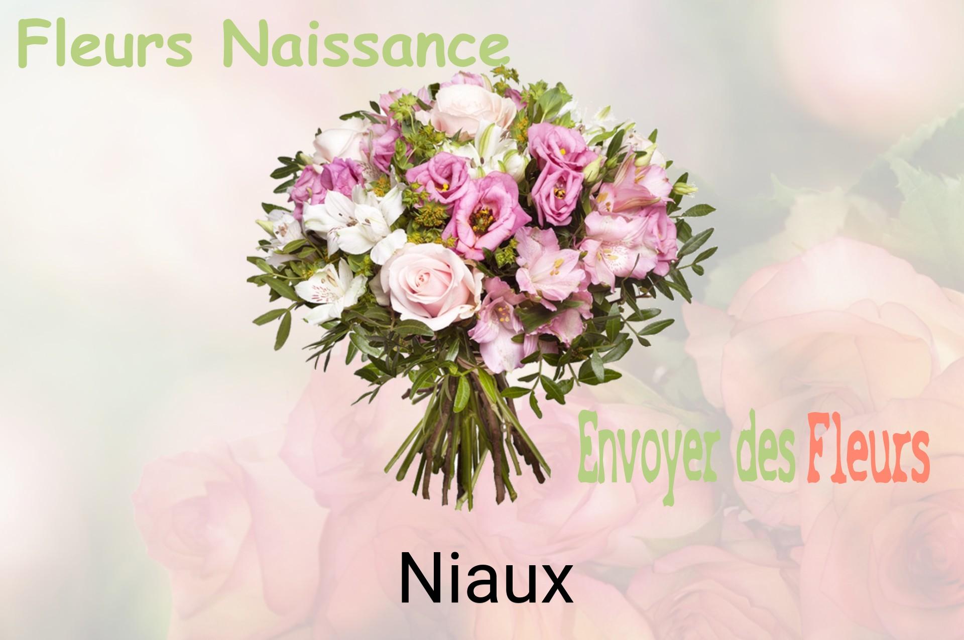 Bouquet de fleurs de naissance livré à Niaux